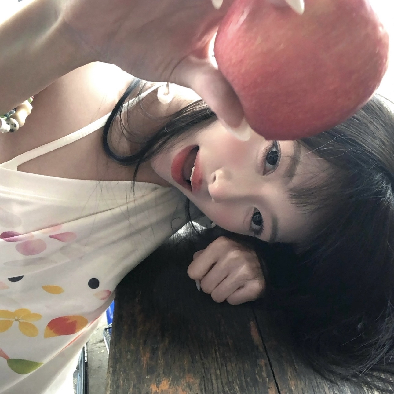 King Charles Cavalier